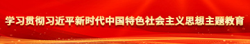 插逼逼逼学习贯彻习近平新时代中国特色社会主义思想主题教育